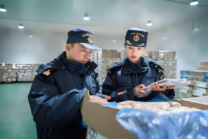 国际贸易选购指南：打造企业国际市场新通道